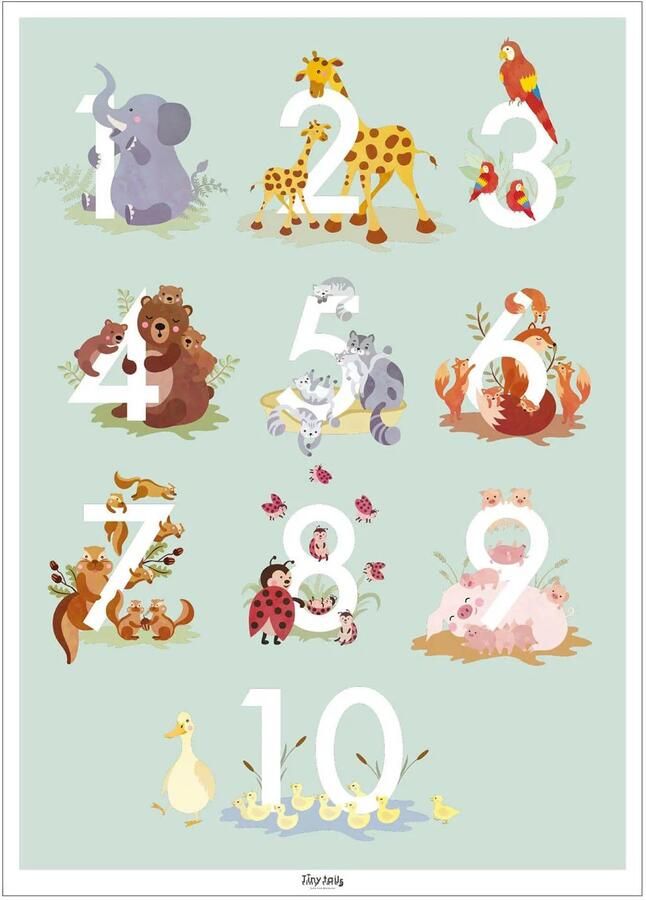 Poster & Frame Poster Tiny Tails Talplakat lysegrøn A3(29.7 cm x 42 cm) (50 x 70 cm)