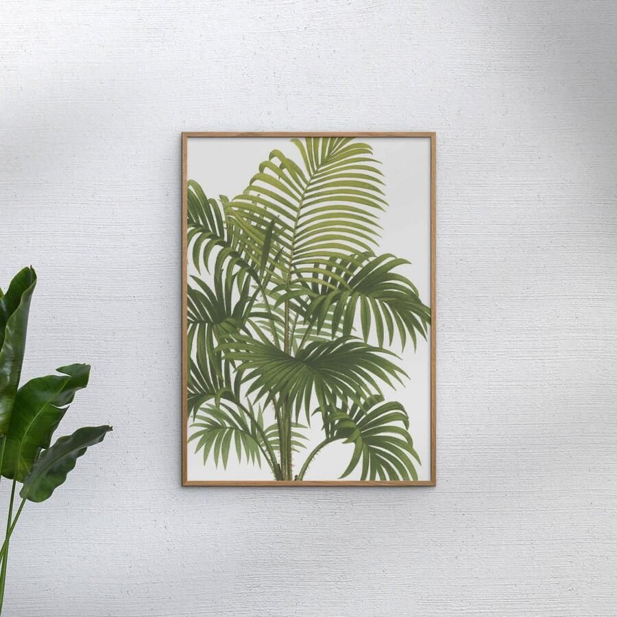 Poster & Frame Poster Wild Apple Riviera Palms I Crop (30 x 40 cm) - Foto 2