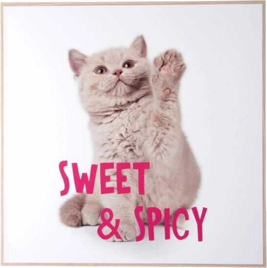 Present Time wanddecoratie Kitten Sweet & Spicy (40x40 cm)