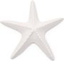 Riviera Maison ornament Étoile Starfish - Thumbnail 1