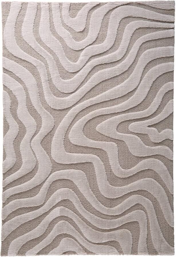 Studio LIVIT vloerkleed Gavyn (290x200 cm) - Foto 2