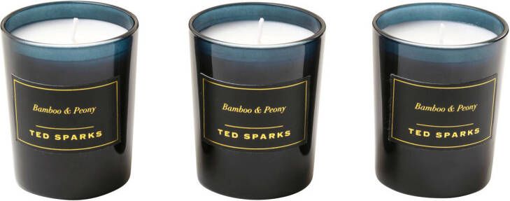 Ted Sparks geschenkset mini geurkaarsen Bamboo & Peony