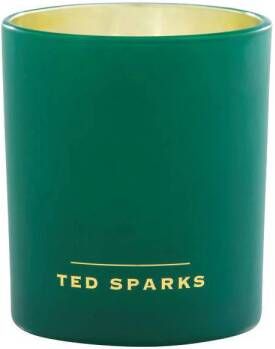 Ted Sparks geurkaars Demi Moss & Sandalwood