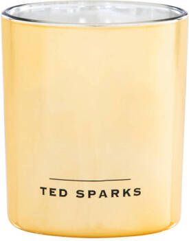 Ted Sparks geurkaars Demi Vanilla & Cedarwood