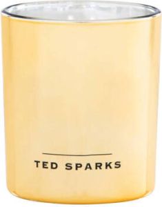 Ted Sparks geurkaars Demi Vanilla & Cedarwood