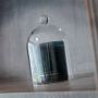 Ted Sparks glazen stolp - Thumbnail 2