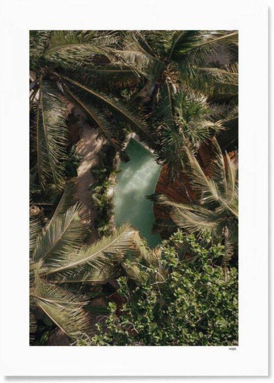 WIJCK. poster Tulum Palm & Water (21x30 cm)
