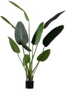 Woood Strelitzia Kunstplant Groen 164 cm