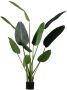 Woood Strelitzia Kunstplant Groen 164 cm - Thumbnail 1