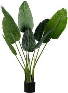 Woood Strelitzia Kunstplant Groen 61x108x50