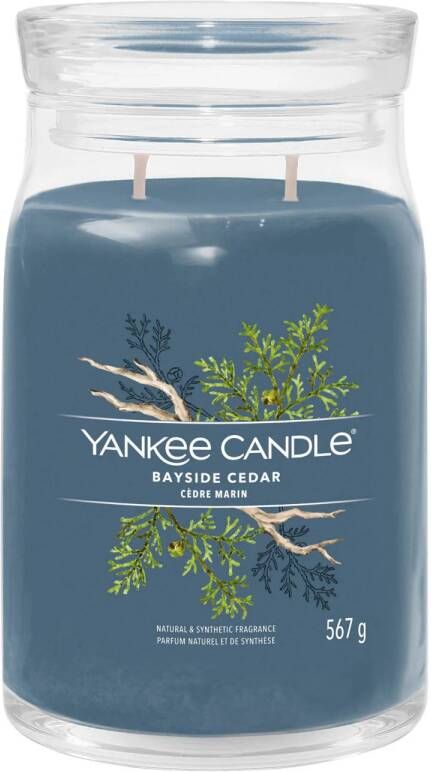 Yankee Candle geurkaars Bayside Cedar Large