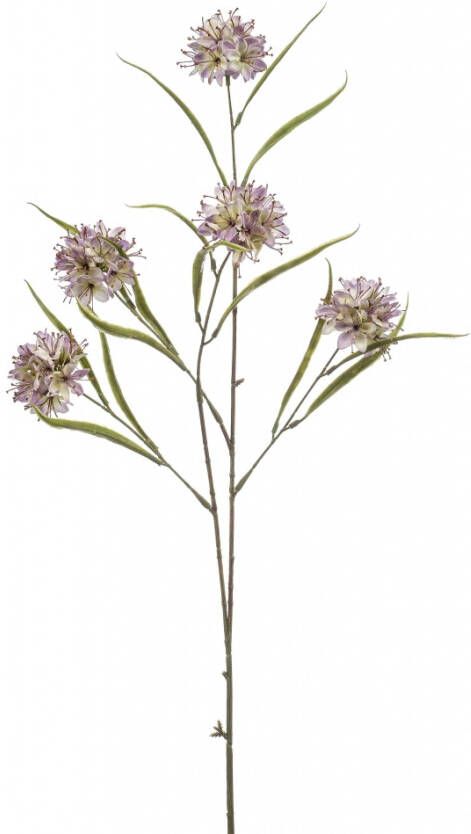 Woonexpress Allium Kunstbloem