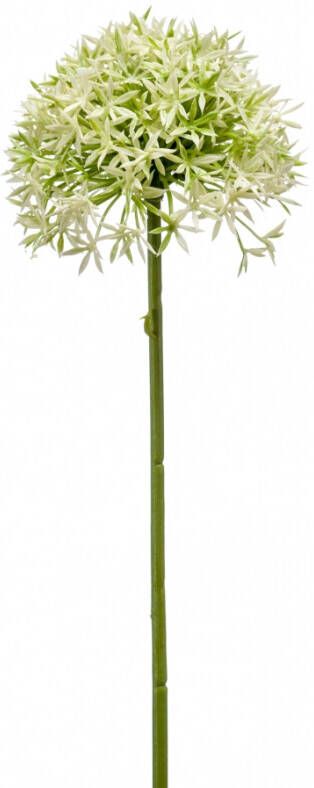 Woonexpress Allium Kunstbloem