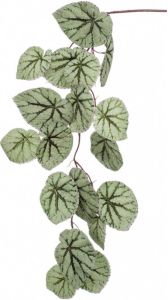 Woonexpress Begonia Kunstblad