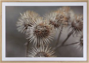 Woonexpress Distel Inlijsting