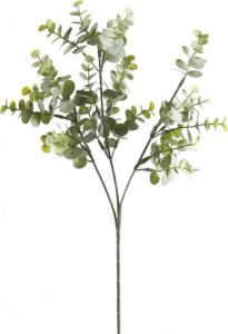 Woonexpress Eucalyptus Kunstblad