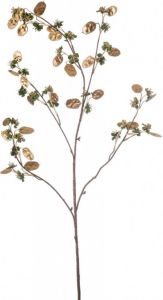 Woonexpress Lunaria Kunstbloem