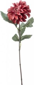 Woonexpress Zinnia Kunstbloem