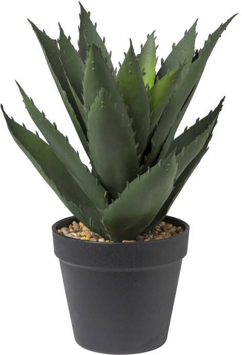 Xenos Aloe vera kunstplant 28 cm