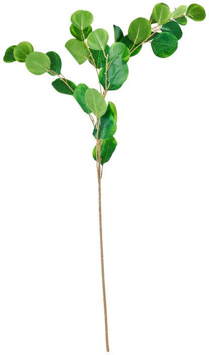 Xenos Bamboe tak rond 90 cm