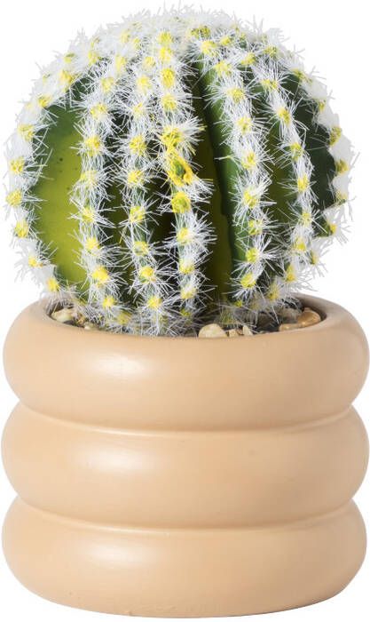 Xenos Cactus in pot bol ø9x13.7 cm