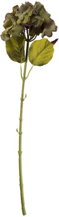 Xenos Hortensia tak groen 64 cm