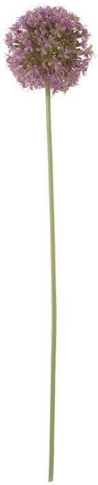 Xenos Kunstbloem allium paars 64 cm