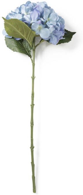 Xenos Kunstbloem hortensia blauw 63 cm