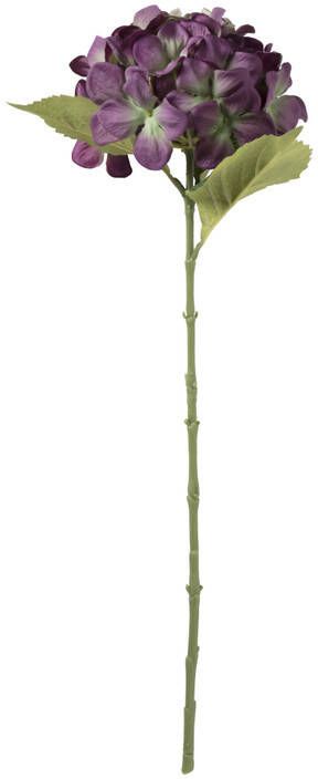 Xenos Kunstbloem hortensia paars 63 cm