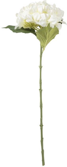 Xenos Kunstbloem hortensia wit 63 cm