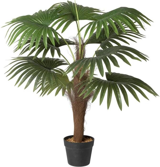 Xenos Kunstplant Chinese waaierpalm 90 cm