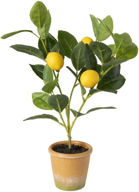 Xenos Kunstplant citroenboompje 38 cm