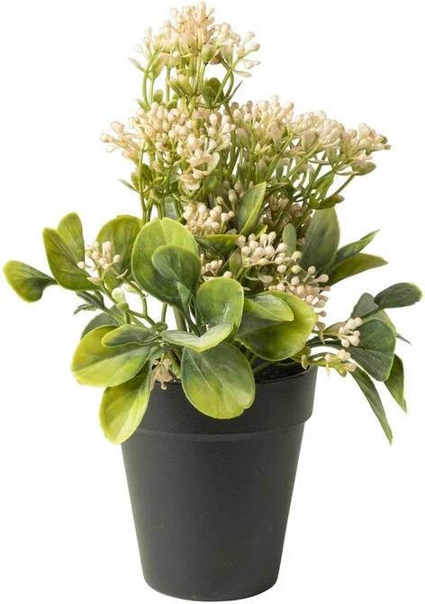 Xenos Kunstplant kalanchoe roze 24 cm