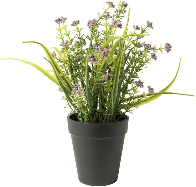 Xenos Kunstplant lavendel paars 30 cm