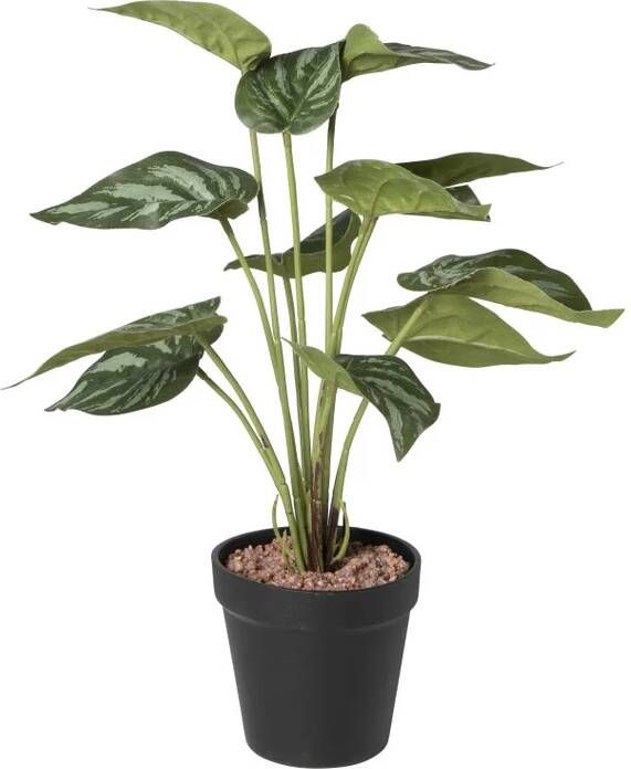 Xenos Kunstplant syngonium 36 cm