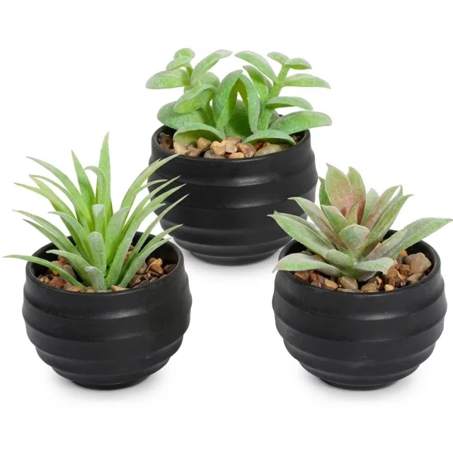 NUVEX Groene kunstplanten vetplanten in witte potten 3 stuks – mini kunst planten met verschillende bladvormen en decoratieve steentjes – nep planten voor bureau tafel vensterbank boekenplank kantoor en woonkamer Groen, wit, bruin