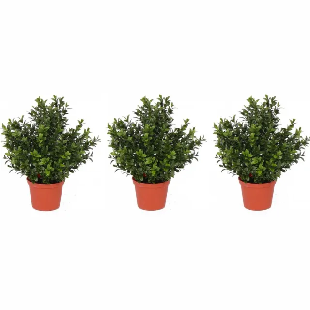 Bellatio Flowers & Plants Kunstplant Buxus - Set van 3x stuks - groen - in pot - 31 cm - Kantoor/huiskamer - nep/namaak planten
