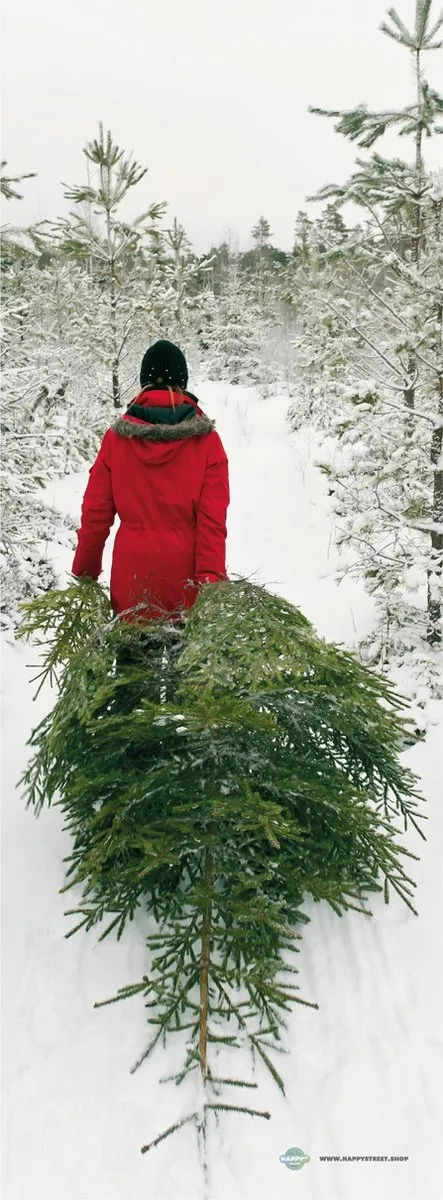 TheSignerz.nl Deursticker Man sleept kerstboom 70x190cm full-colour print