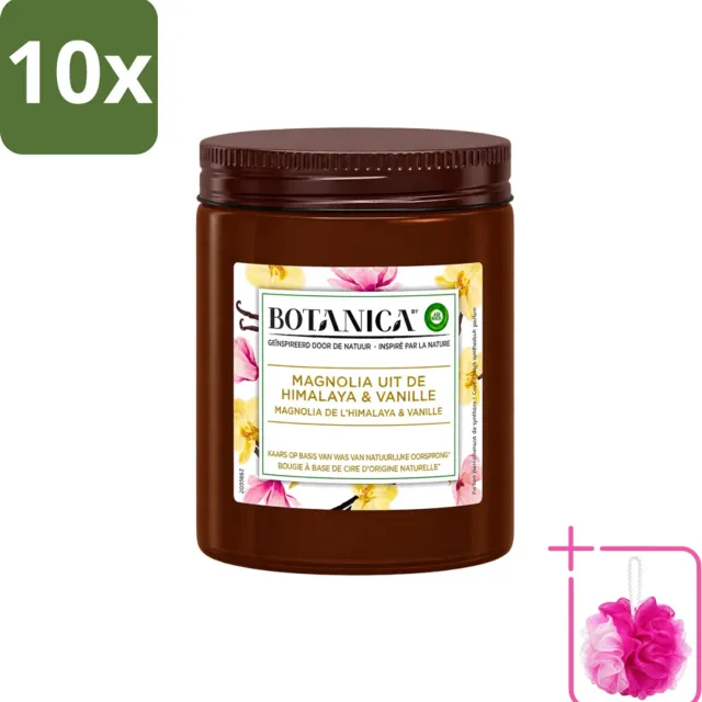 Air Wick 10 x Botanica by Air Wick - Geurkaars - Vanille & Magnolia - 40 Uur Brandduur - Bulkverpakking - Geurkaars - Douchemop - Vanille en magnolia Bruin