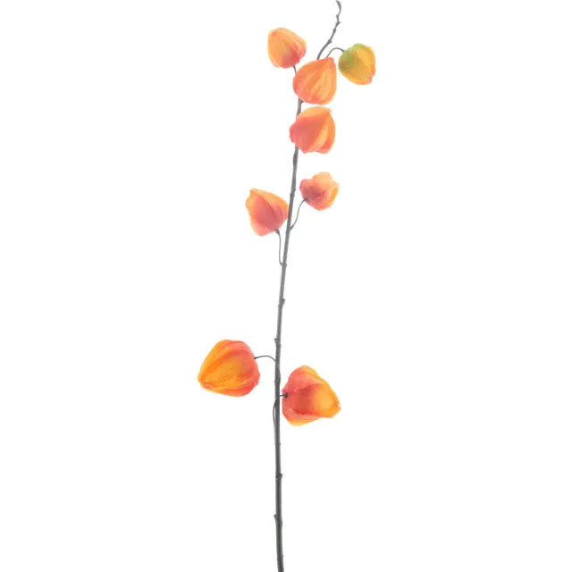 Bellatio Design Kunstbloem Lampionplant/physalis tak - 73 cm - oranje - zijde bloemen - Kunst herfst takken