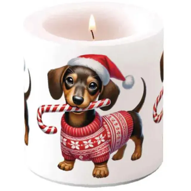 Ambiente Kaars - Small Anton - 35 branduren - Wax Wit