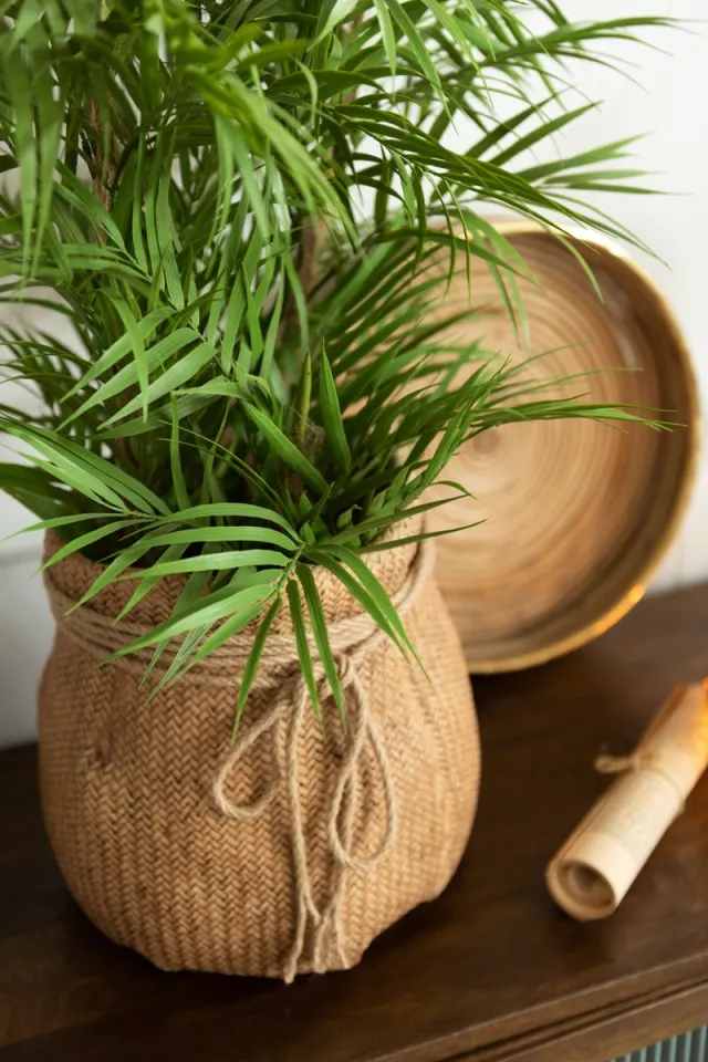 J-Line plant Bergpalm In Pot - kunststof - groen/zwart - small