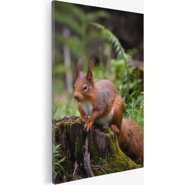 Saammp Canvas Schilderij - Eekhoorn in het bos - Landschap - Bloemen - Natuur - 40x50 - Foto op canvas - Wanddecoratie - Muurdecoratie Woonkamer - Slaapkamer decoratie - Canvas Print Multicolor