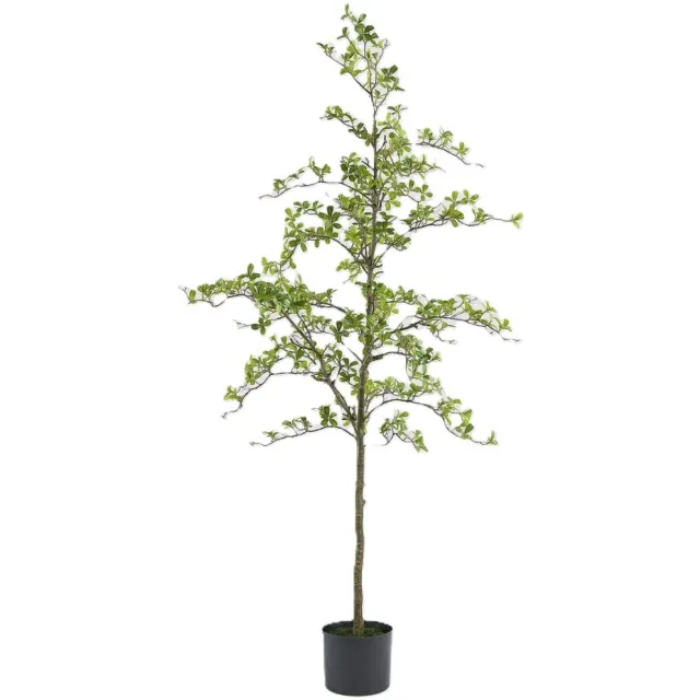 EDG - Enzo De Gasperi EDG - Kunstplant - groen - D30 x H213 cm