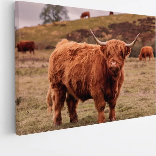 Saammp Canvas Schilderij - Schotse Hooglander Koe bij een meer - Dieren - Natuur - 45x30 - Foto op canvas - Wanddecoratie - muurdecoratie Woonkamer - Slaapkamer decoratie - Canvas Print Multicolor