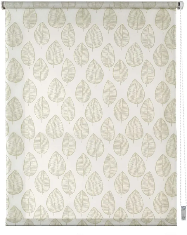 Storesdeco Rolgordijnen met patroon, doorschijnend met natuurlijk groen, 120x180 cm Green