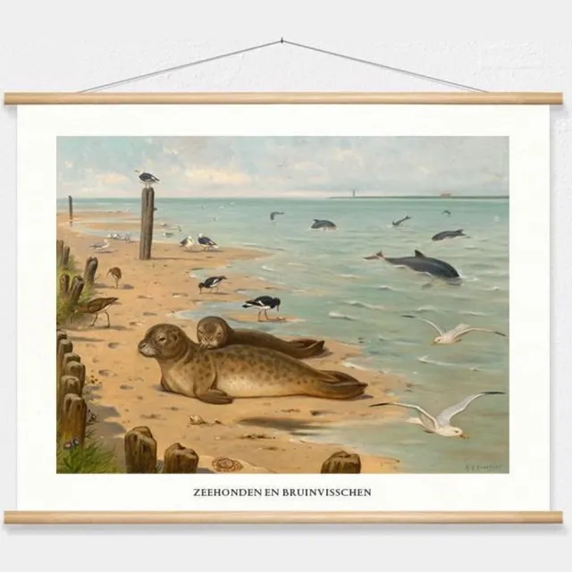 wallchart unlimited Schoolplaat 'Zeehonden en bruinvisschen' van M.A. Koekkoek wit