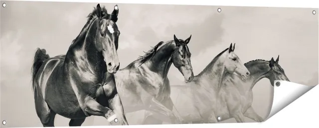 Gards Tuinposter Vier Paarden naast Elkaar - Zwart Wit - 150x50 cm - Tuindoek - Tuindecoratie - Wanddecoratie buiten - Tuinschilderij Multikleur