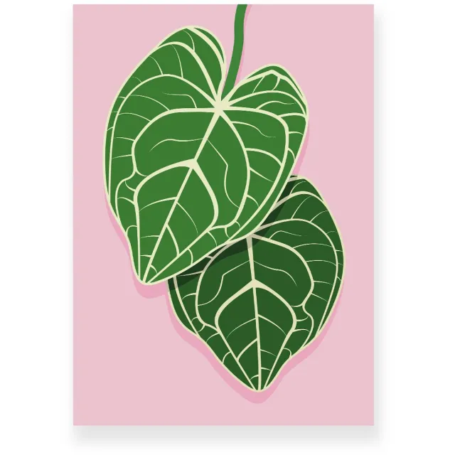 Yisual Poster 50x70 cm - Anthurium Bladeren - Planten - Groen - Roze - Botanisch - Minimalistisch - Muurdecoratie - Wanddecoratie