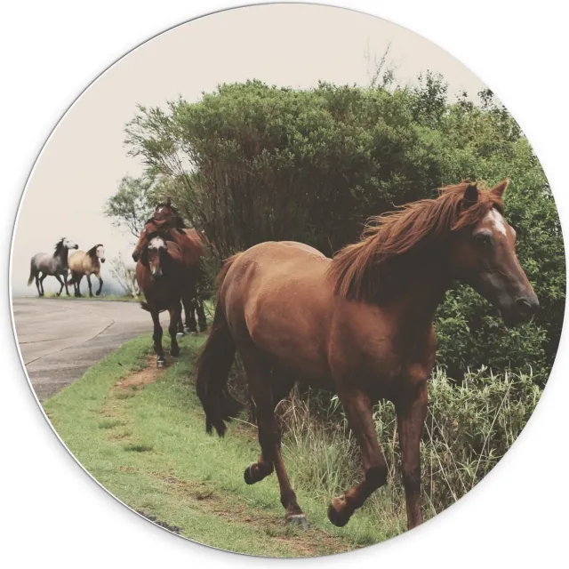 KuijsFotoprint Forex Wandcirkel - Dravende Paarden op Bergweg - 70x70cm Foto op Wandcirkel (met ophangsysteem) Groen